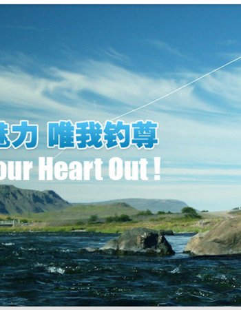 Cixi Weite Fishing Tackle Co., Ltd.