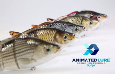 Animated Lure