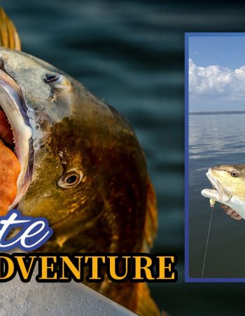Bourgeois Conference Services / Bourgeois Fishing Charters