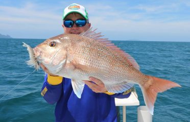 Gillies Lures