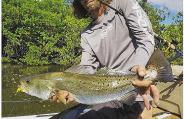 Chasebaits Australia