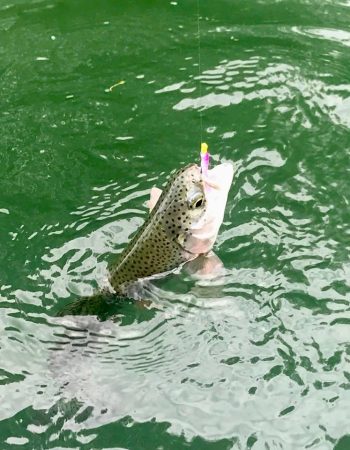 Trout Magnet & Crappie Magnet by Leland’s Lures