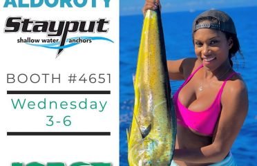 Stayput Anchor