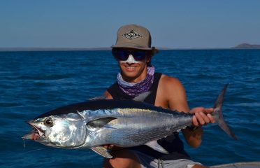 Halco Tackle